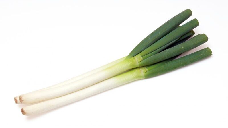 長ねぎ
