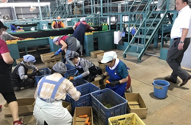 現在の北海道の状況